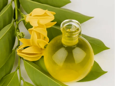 العلاج العطري لتحسين الفعالية